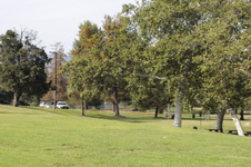 Enlarge photo 77