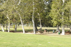 Enlarge photo 78