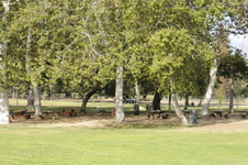 Enlarge photo 79