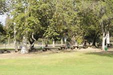 Enlarge photo 80