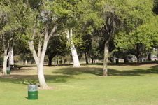 Enlarge photo 81