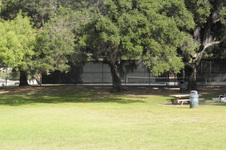Enlarge photo 82