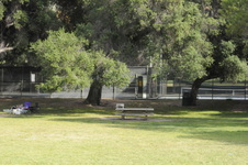Enlarge photo 83