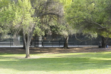Enlarge photo 84