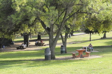 Enlarge photo 85