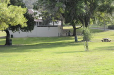 Enlarge photo 86