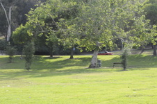 Enlarge photo 87