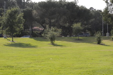 Enlarge photo 89