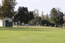 Enlarge photo 92