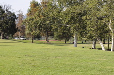 Enlarge photo 93
