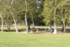 Enlarge photo 94