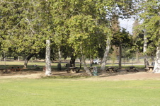 Enlarge photo 95