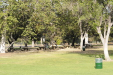 Enlarge photo 96