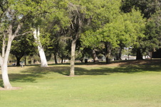 Enlarge photo 97