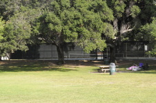 Enlarge photo 98