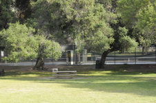 Enlarge photo 99
