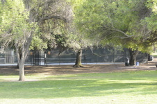Enlarge photo 100