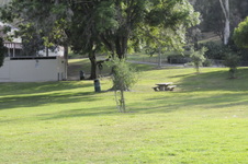 Enlarge photo 102