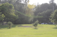 Enlarge photo 103