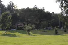 Enlarge photo 104