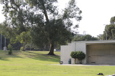 Enlarge photo 105