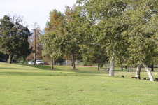 Enlarge photo 108