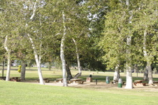 Enlarge photo 109