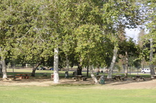 Enlarge photo 110