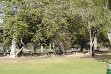 Enlarge photo 111
