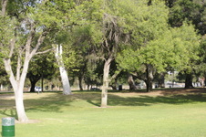 Enlarge photo 112