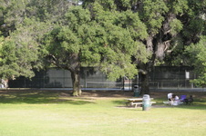 Enlarge photo 113