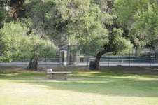 Enlarge photo 114