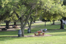 Enlarge photo 116