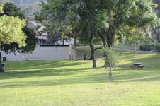 Enlarge photo 117