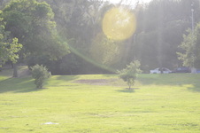 Enlarge photo 118