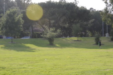 Enlarge photo 119