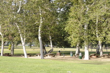 Enlarge photo 124