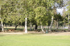 Enlarge photo 125