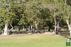 Enlarge photo 126