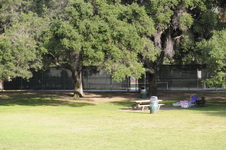 Enlarge photo 128