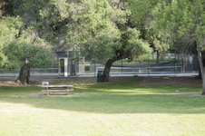 Enlarge photo 129