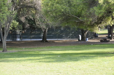 Enlarge photo 130