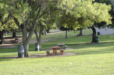 Enlarge photo 131