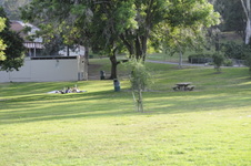 Enlarge photo 132