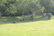 Enlarge photo 133