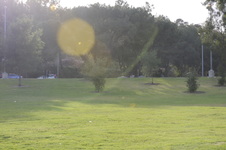 Enlarge photo 135