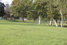 Enlarge photo 139