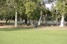 Enlarge photo 141