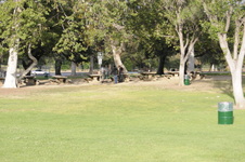 Enlarge photo 142