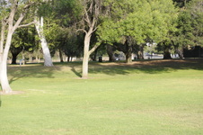 Enlarge photo 143